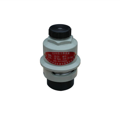 Anti Corrosion Transformer Stainless Steel Pressure Relief Valve 105℃ Working temperature